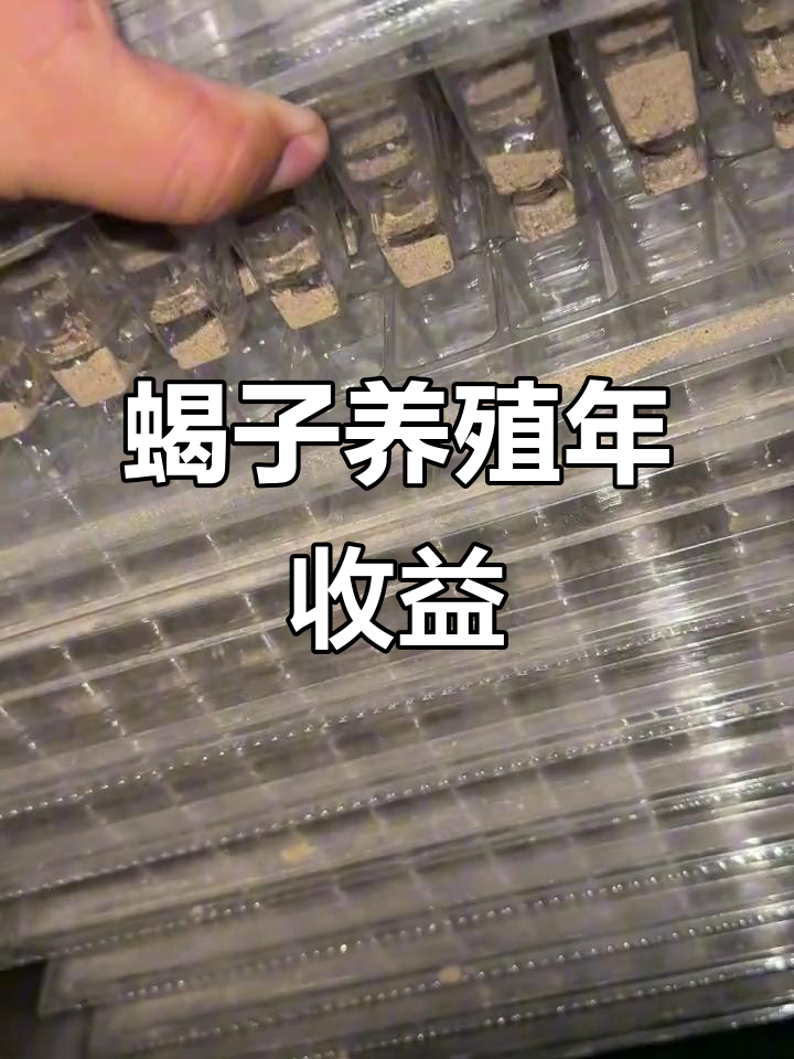 养殖蝎子的收益(养殖蝎子的收益有多大)