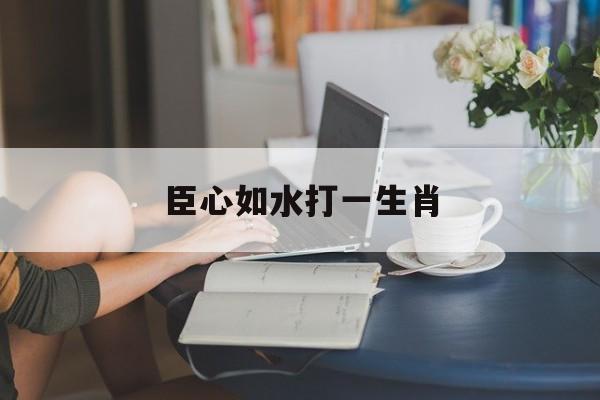 臣心如水打一生肖(臣心如水指的是什么生肖)