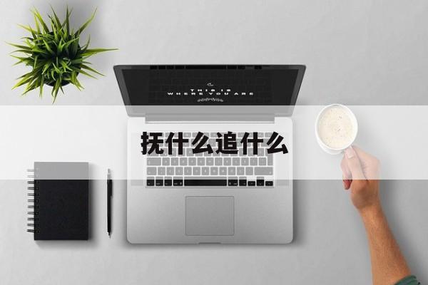 抚什么追什么(抚什么追什么的成语)