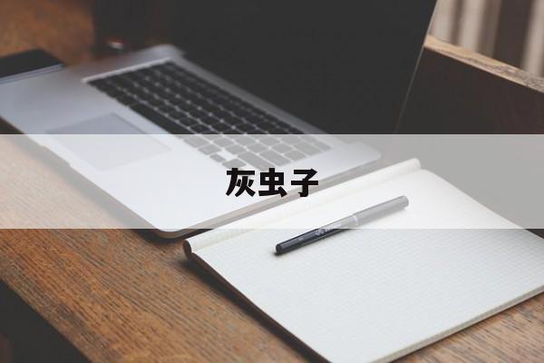 灰虫子(灰虫子打斗视频n)