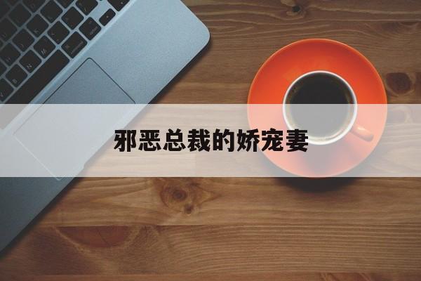 邪恶总裁的娇宠妻(邪恶总裁的爱妻)