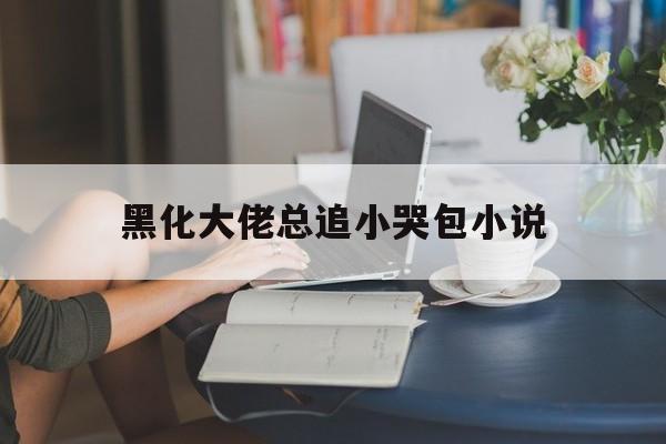 黑化大佬总追小哭包小说(黑化大佬总追小哭包小说下载)