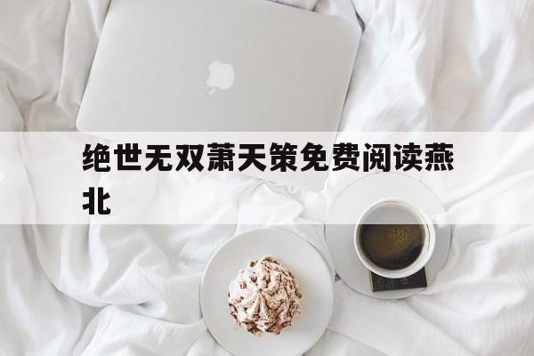 绝世无双萧天策免费阅读燕北(绝世无双萧天策在线阅读 全文免费阅读)