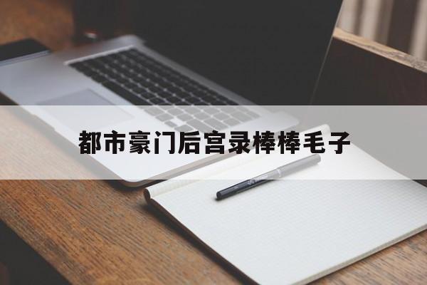 都市豪门后宫录棒棒毛子的简单介绍