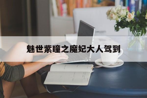 魅世紫瞳之魔妃大人驾到(逆天女皇魔君宠上天夜雨鸢)