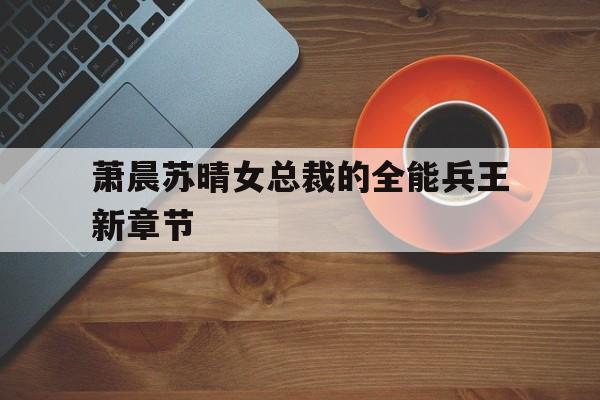 萧晨苏晴女总裁的全能兵王新章节(女总裁的全能兵王萧晨什么时候睡的苏晴)