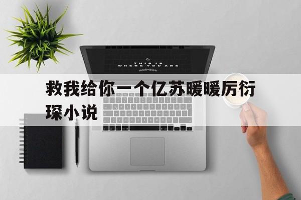 救我给你一个亿苏暖暖厉衍琛小说(救我给你一个亿苏暖暖厉衍琛夜幕初垂)