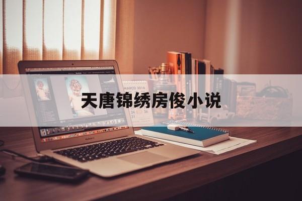 天唐锦绣房俊小说(天唐锦绣房俊百度百科)