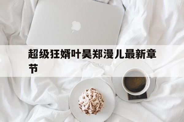 超级狂婿叶昊郑漫儿最新章节(超级狂婿叶昊最新章节1065章)