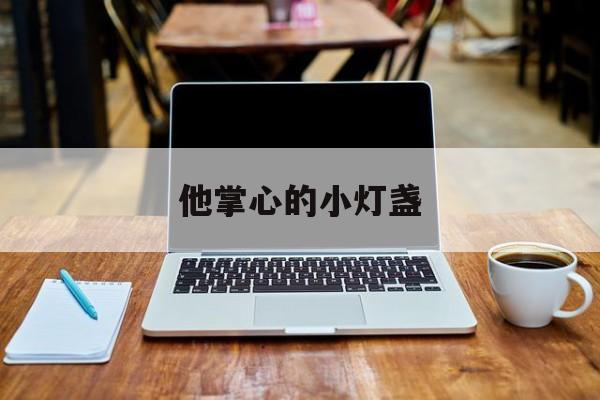 他掌心的小灯盏(他掌心的小灯盏女主和男二)
