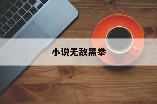 小说无敌黑拳(无敌黑拳起点中文网)