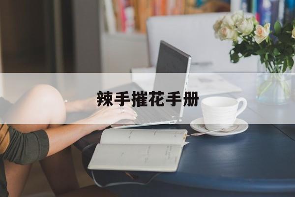 辣手摧花手册(辣手摧花手册曲樱)